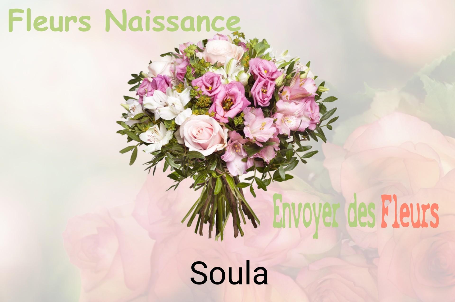 Bouquet de fleurs de naissance livré à Soula